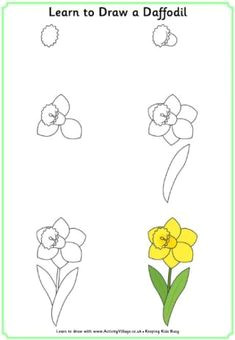learn to draw flowers learn to draw flowers how to draw flowers step by