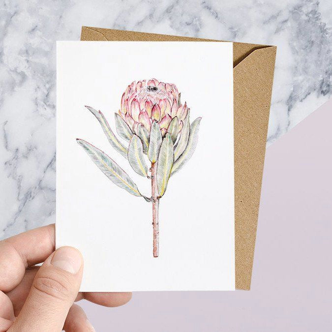 protea native botanical greeting card