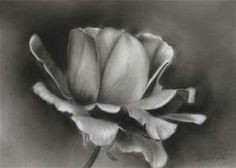 easy charcoal drawings flowers bing images