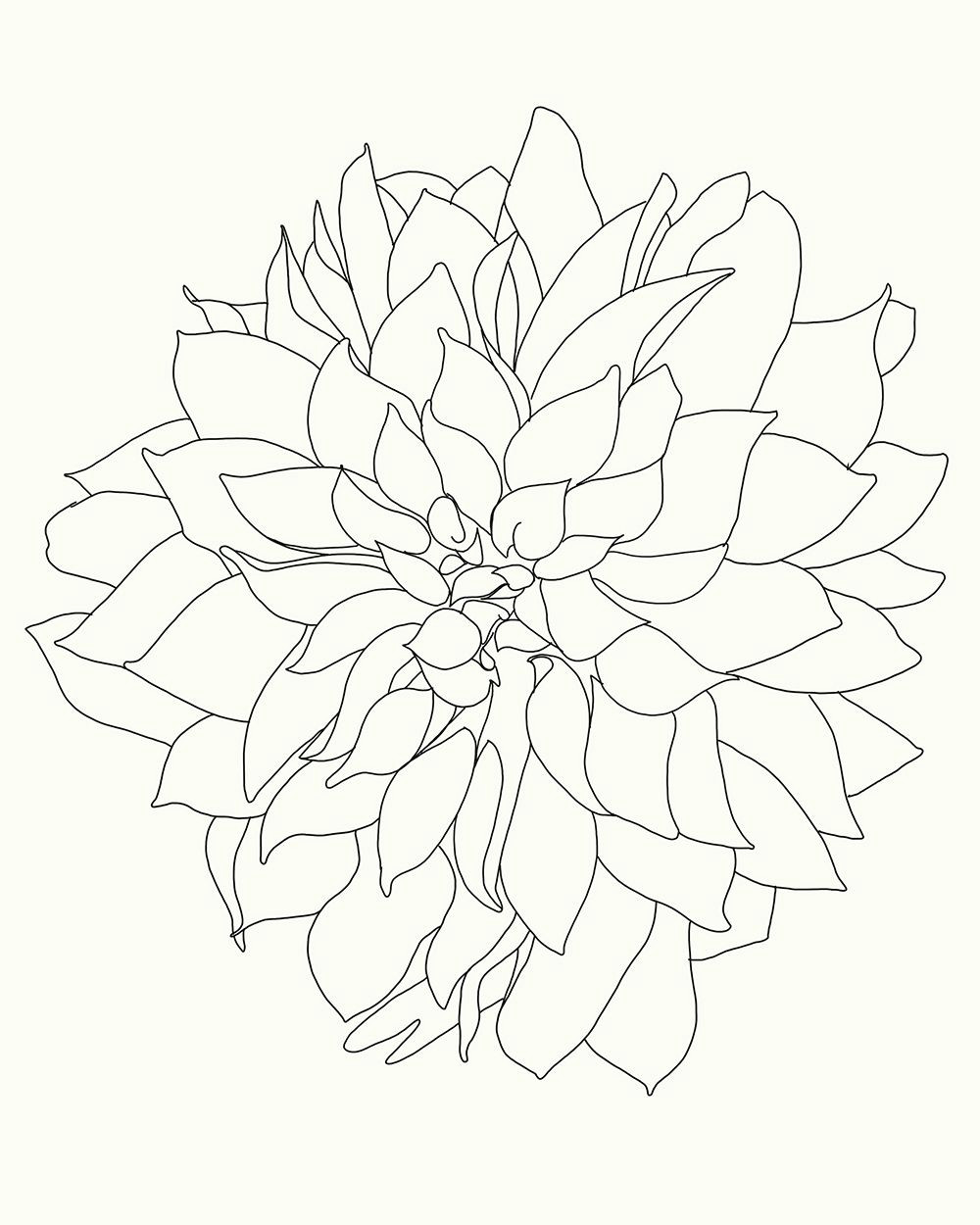 dahlia flower flower art watercolor flowers drawing flowers watercolor tattoos