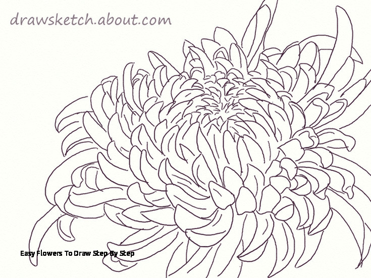easy flowers to draw step by step learn how to draw an ogiku chrysanthemum bloom of