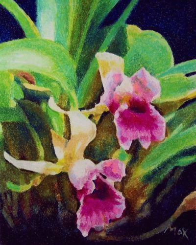 pastel drawing tutorial pink orchids