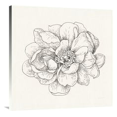 global gallery pen and ink florals iv wall art doodle drawings