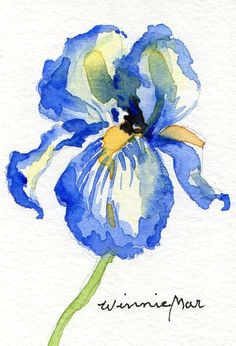 watercolors are always so pretty watercolor flowers watercolor drawing watercolor pictures