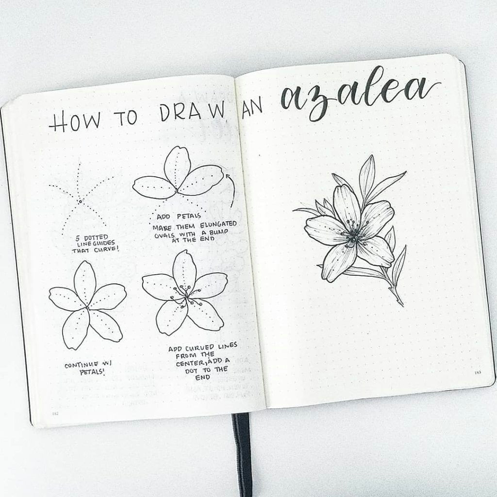 flower doodles are beautiful and add creative flaire to literally any bullet journal thankfully my