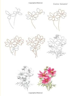 Drawing Flowers Kindergarten 1147 Best Drawing Flowers Images In 2019 Doodles Little Tattoos