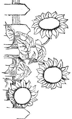 Drawing Flowers Kindergarten 65 Best Digital Flowers Images Flower Designs Sunflowers