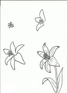 art class ideas drawing a flower lilly flower drawing flower design drawing flower