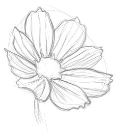 how to draw flowers more easy to draw flowers
