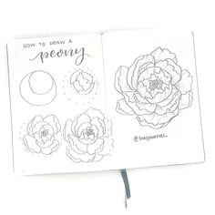 liz bullet journal bonjournal instagram photos and videos peony drawing a flower drawings
