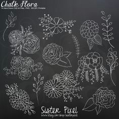 chalk flowers clip art graphics in white hand drawn and high chalkboard drawings chalkboard doodles