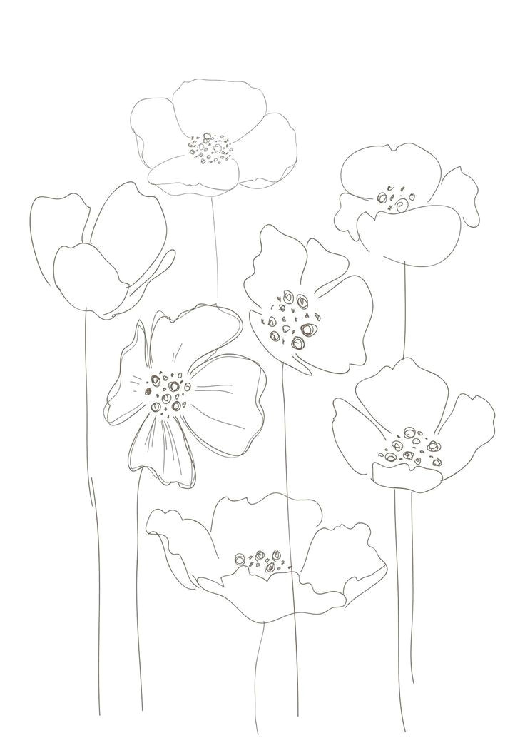 pin by misha miller on glass poppies address plates ideas pinterest drawings art and floral drawing