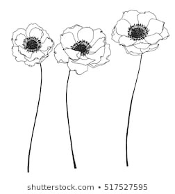 collection set of anemone flower by hand drawing on white backgrounds