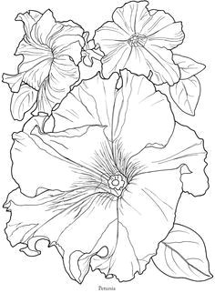 rock flowers drawing flowers diamonds patterns painting searching tattoo ideas draw patrones