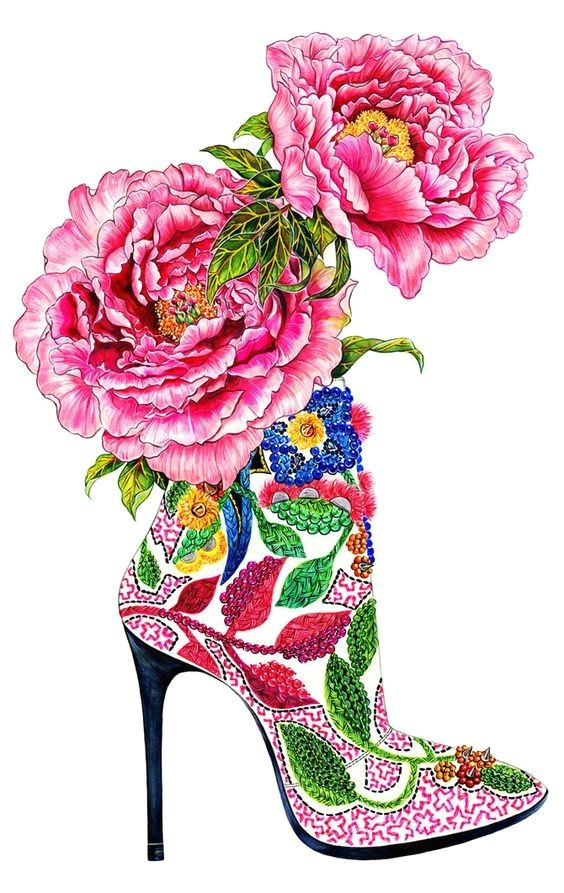 dozens of chic shoes illustration pieces