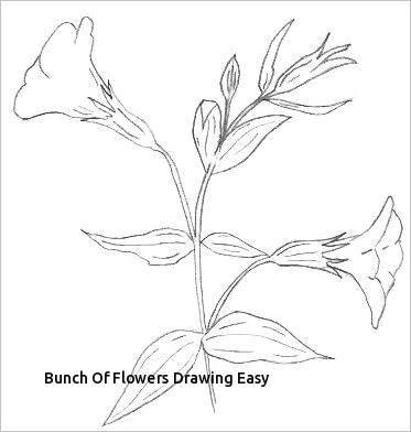 Drawing Flowers On the Bunch Of Flowers Drawing Easy S S Media Cache Ak0 Pinimg originals