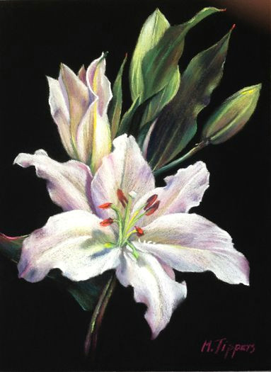 elegance soft pastel art pastel flowers pastel artwork pastel drawing big flowers