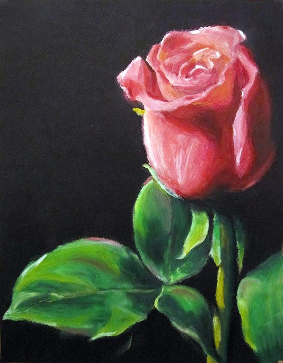 Drawing Flowers Pastels Oil Pastel Paintings Oil Pastels Flower Valentine Rose Eric