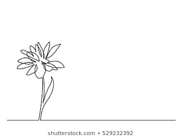 continuous line drawing of beautiful flower