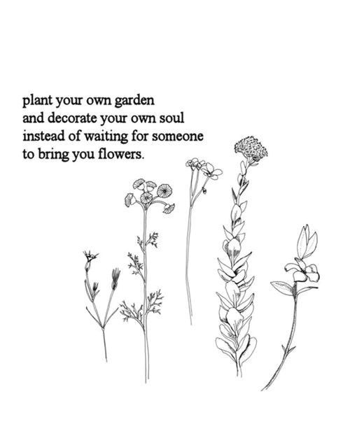 flowers quote and garden image