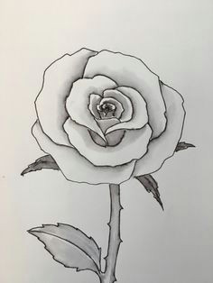 how to draw a rose easy flower