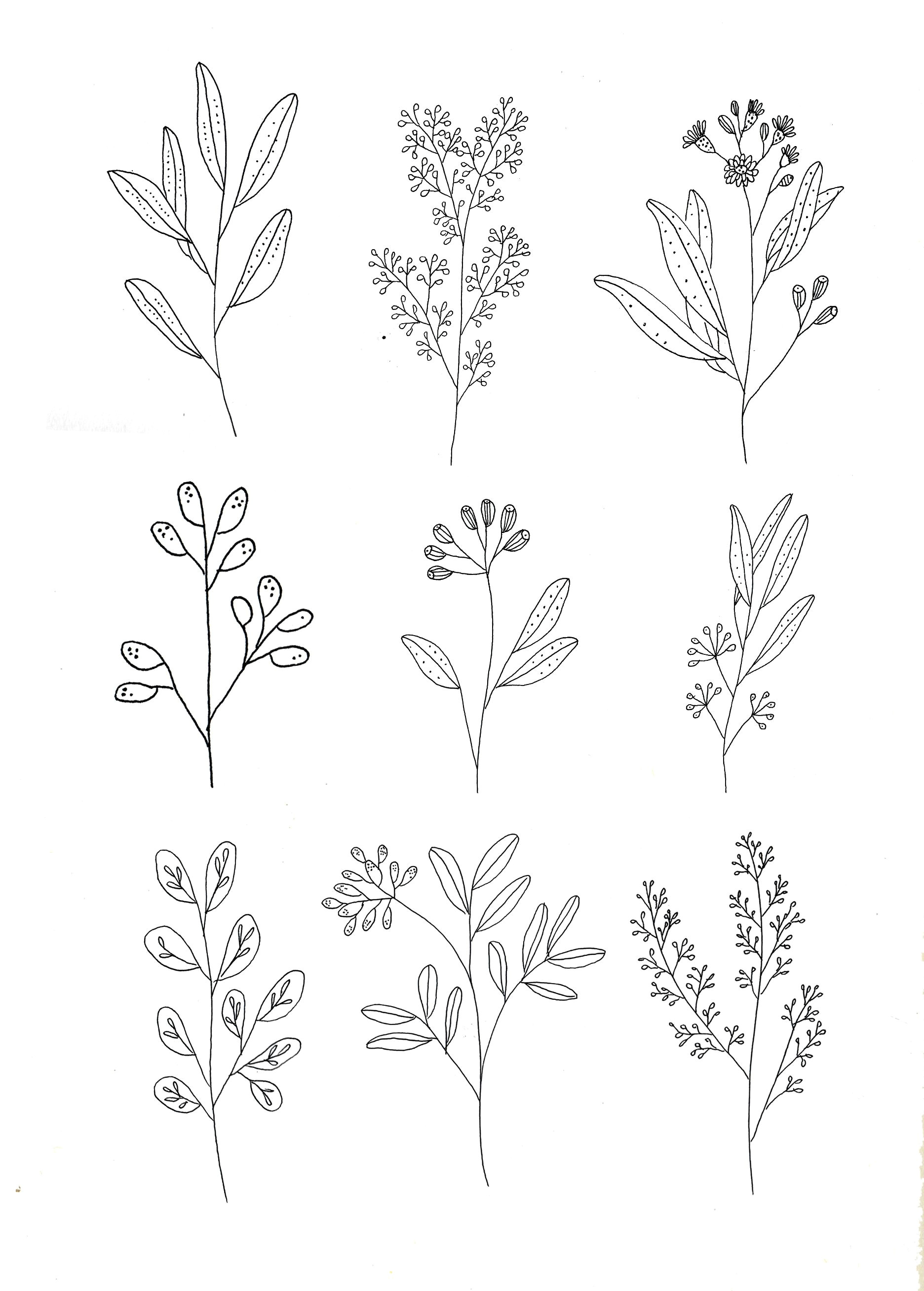 Drawing Flowers Small Botanics by Ryn Frank Www Rynfrank Co Uk Tattoo Ideas Drawi