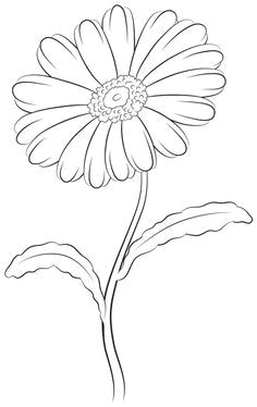 learn how to draw a daisy beginning with the top composed of two simple ovals and then moving down to the stem in this simple step by step flower