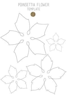 poinsettia flower template iii copy