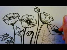 flower tutorial how to draw flowers poppy flowers