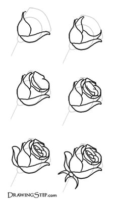 drawing flowers step by step see more pinned by www simplenailarttips com tutorials nail art design ideas how to