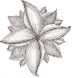 image result for easy sketches of flowers pencil drawings of flowers cool drawings flower