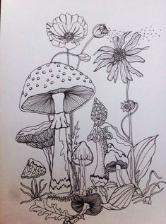 forest drawing forest sketch forest painting moon drawing mushroom paint mushroom