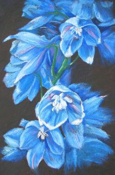 oil pastel on black paper marion s floral art blog chalk pastel art oil pastel