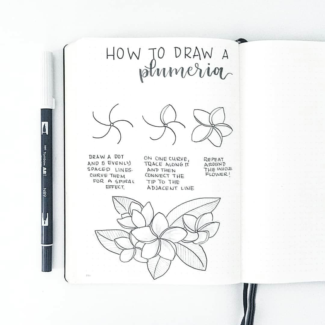 how to draw a plumeri