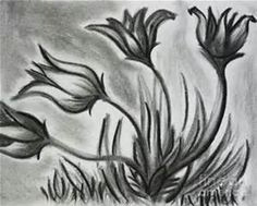 easy charcoal drawings flowers bing images