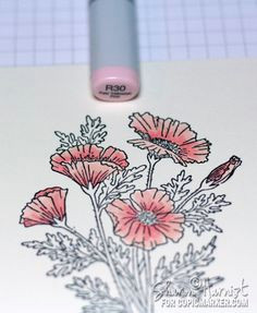 coloring poppies with copic markers