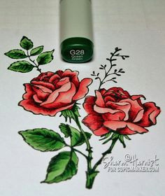 coloring and shading flowers with copics copic art copic marker art copic pens