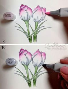 coloring spring crocus with copic markers copic marker art copic sketch markers copic pens