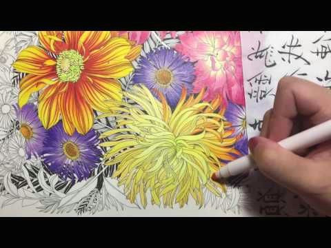 flower coloring tutorial 2 floribunda coloring book colored pencil youtube