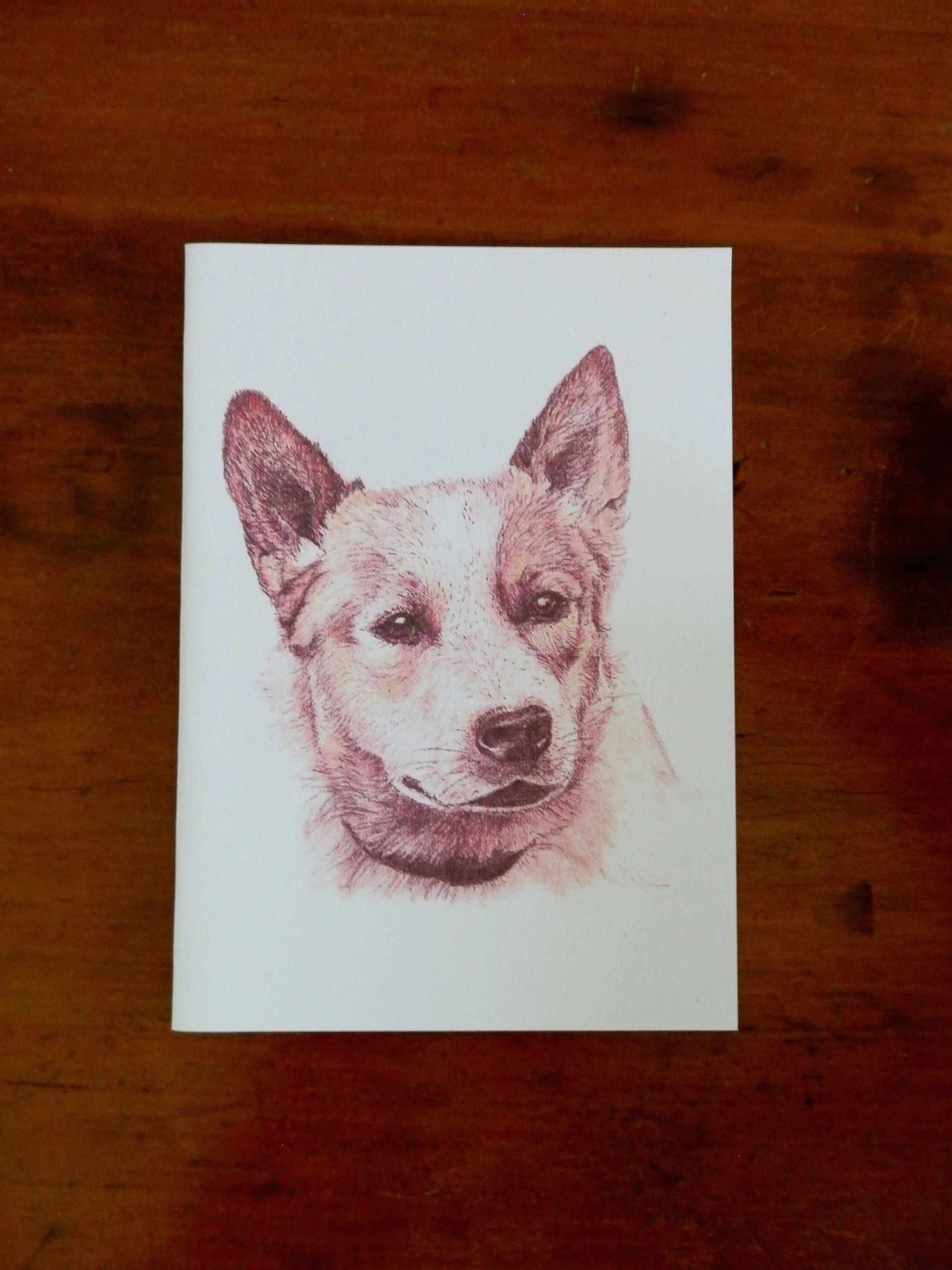 cattle dog red australian card greeting blank drawing illustration color pencils doglovers by pattihendersonart on etsy