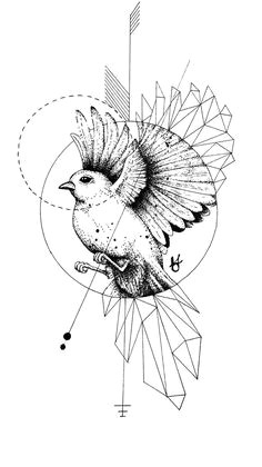 geometric dove