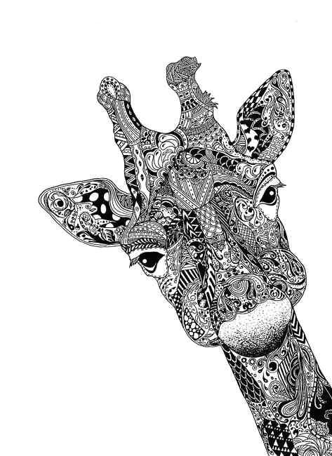 giraffe drawing