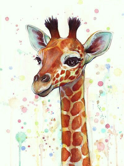 cute giraffe drawing zoo drawing baby animal drawings art drawings