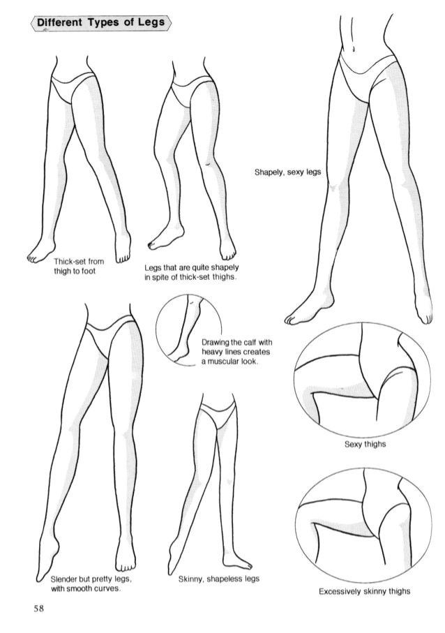 drawing the female legs