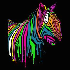 it s a freaking light up zebra rainbow zebra rainbow colors rainbow things bright