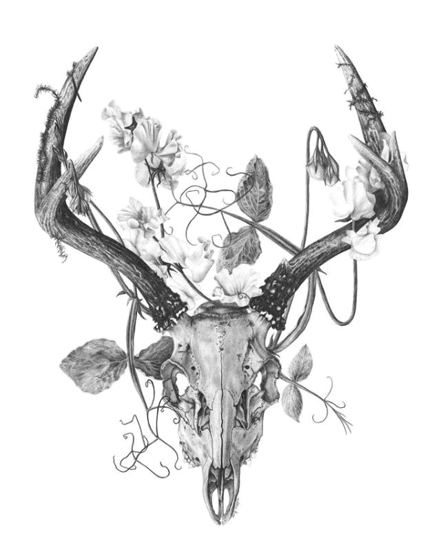 deer skull tattoos deer skulls deer skull drawing animal skulls ram skull