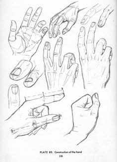 drawing hands hand reference anatomy reference drawing reference drawing lessons drawing techniques