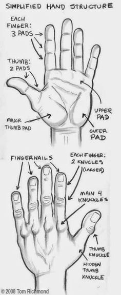 the structure of hand study realistic hyper art pencil art 3d art
