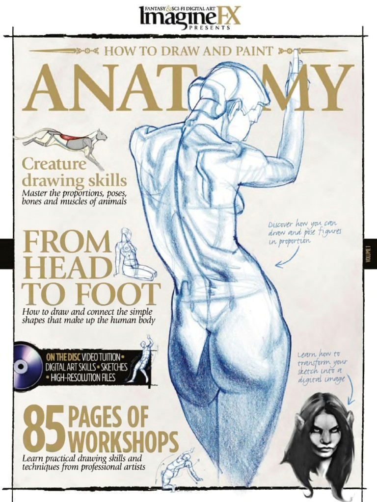 imaginefx how to draw and paint anatomy 2010 human anatomy musculoskeletal system