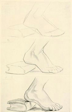 learn how to draw feet art book for the beginner artist complete with foot drawings and illustrations to help teach you how to draw